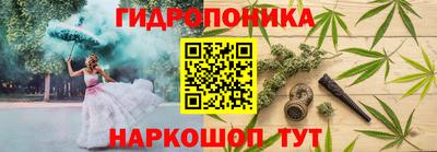 сатива Краснодар