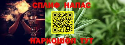 сатива Краснодар