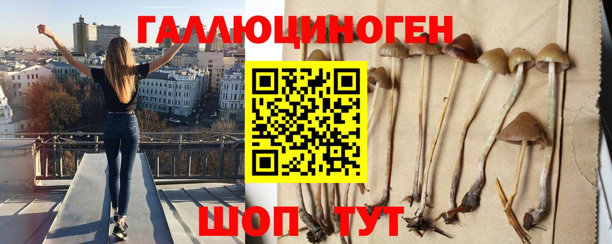 Галлюциногенные грибы мицелий Заволжье